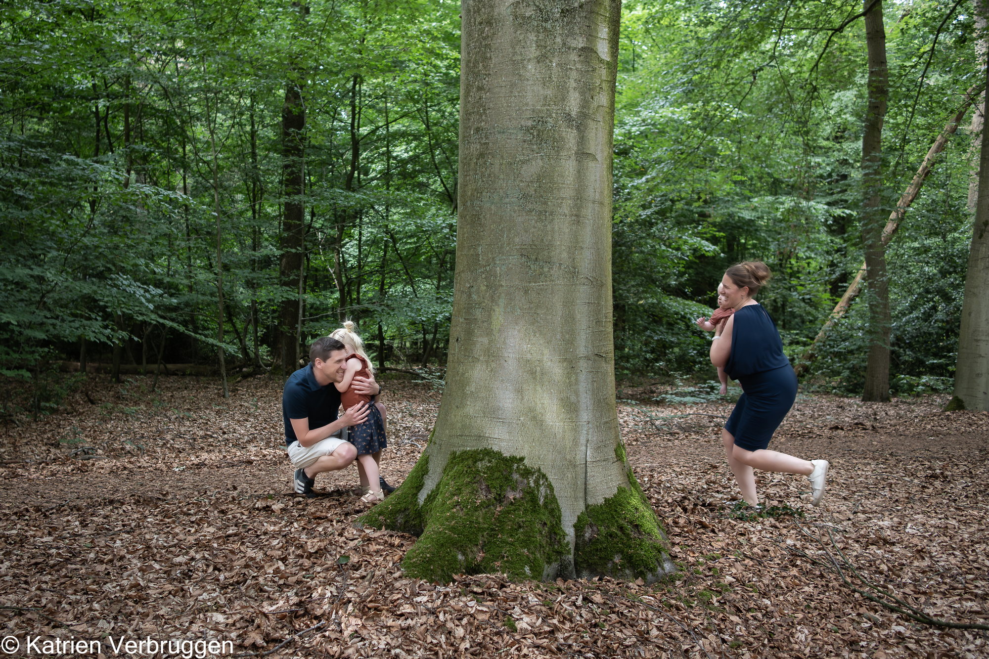 Gezin bij een grote beuk in het bos