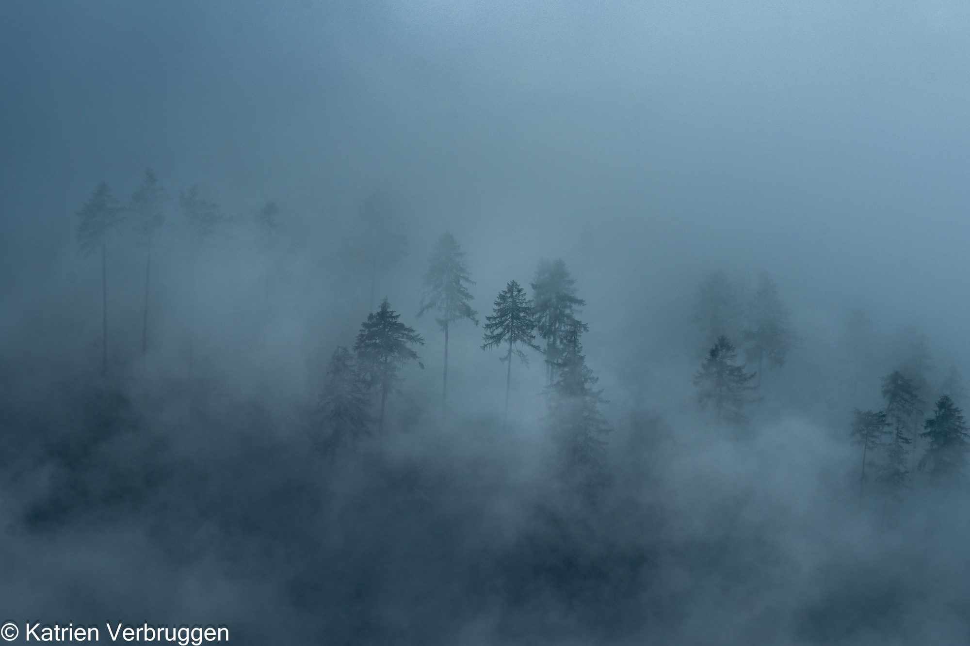 Landschapsfotografie