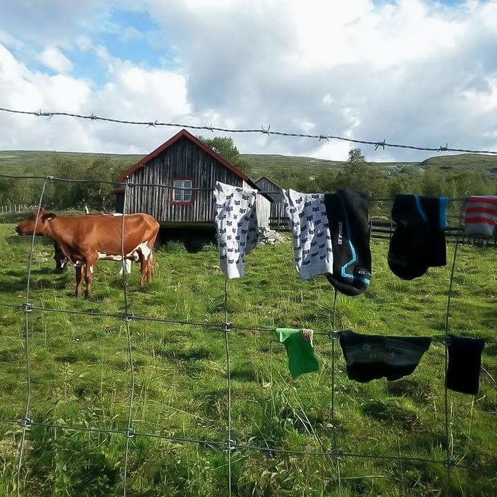 Waslijn bij een Noorse hoeve