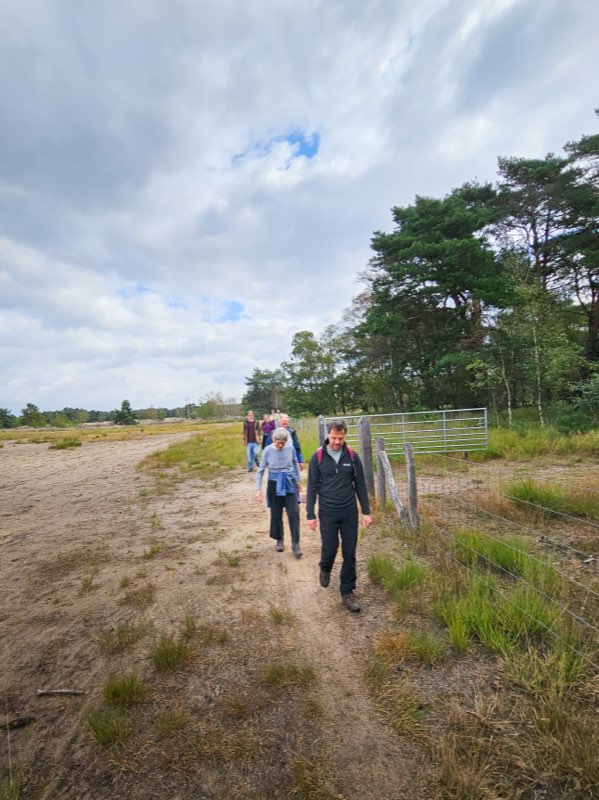 Wandelaars op een zandpad langs de heide
