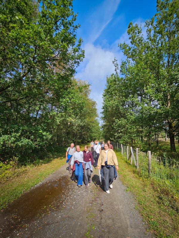 De groep op wandel over een zonnige dreef