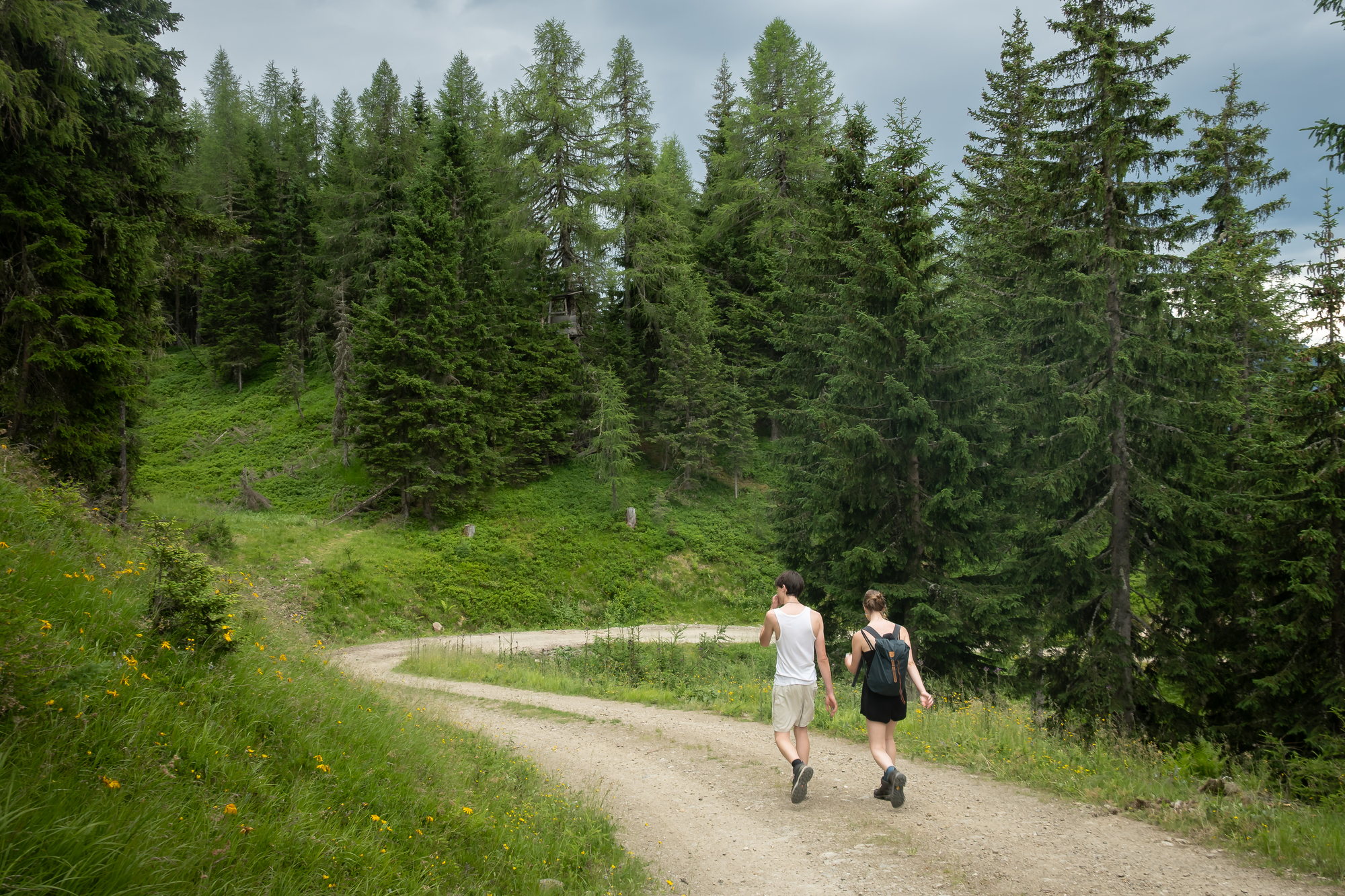 Samen op wandel door het bos